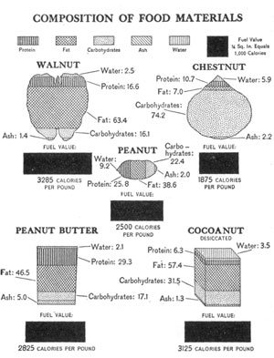 [Illustration: Composition of food materials]